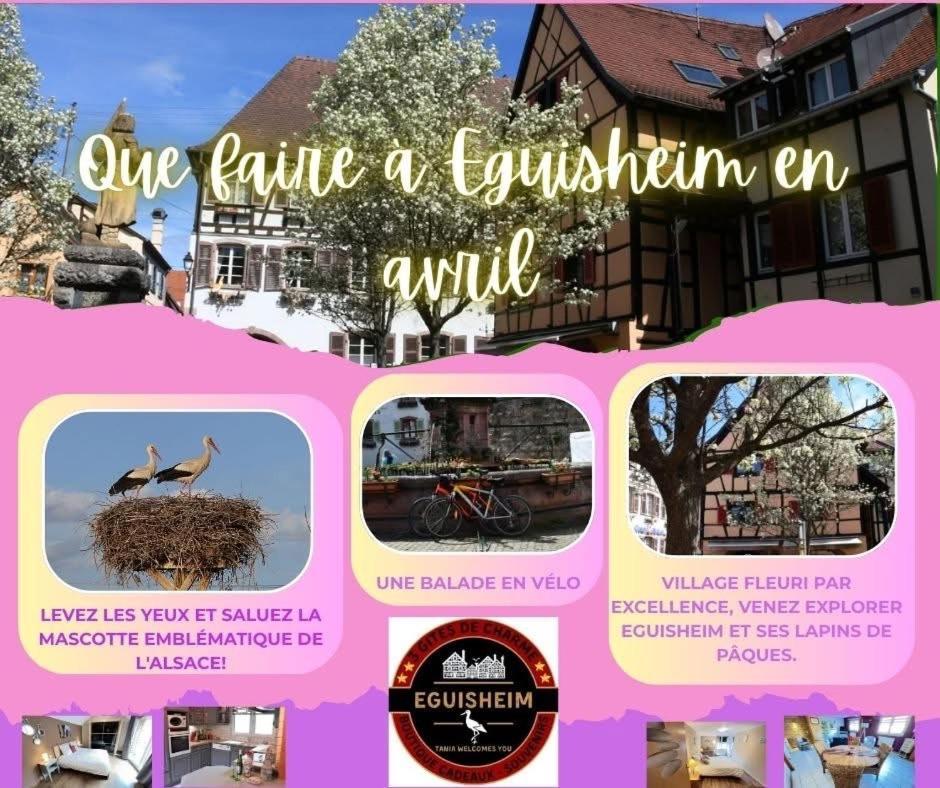Gite Géranium*** Eguisheim Esterno foto