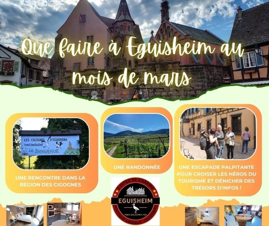 Gite Géranium*** Eguisheim Esterno foto